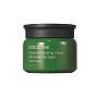 Innisfree Интенсивный увлажняющий крем на основе семян зеленого чая